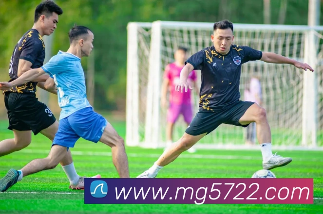MG娱乐平台官网服务体系